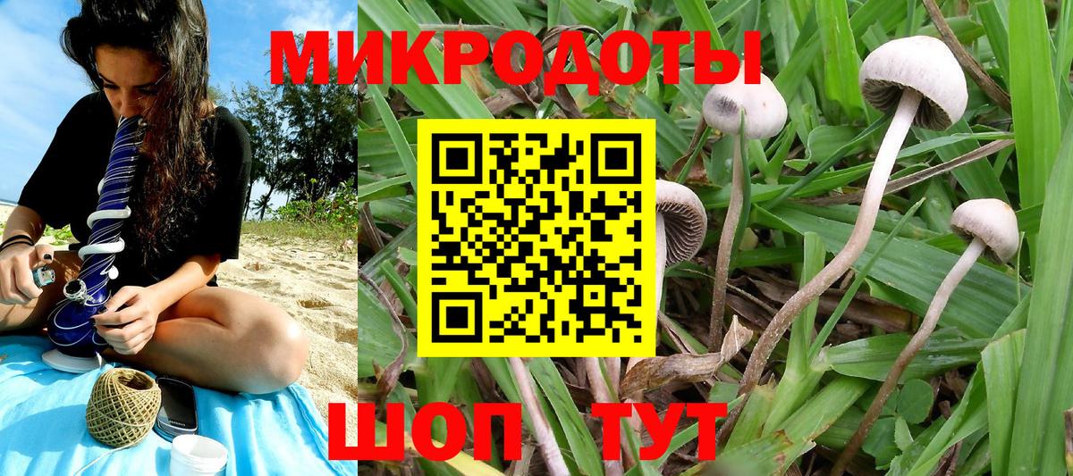 Галлюциногенные грибы Psilocybe  Вход с VPN  Галлюциногенные грибы мицелий  Балтийск 